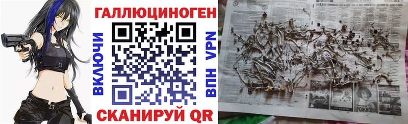 купить   Микунь  Галлюциногенные грибы мицелий 